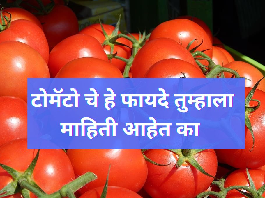 टोमॅटो चे हे फायदे तुम्हाला माहिती आहेत का